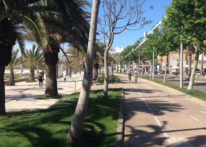 Dolce Sogno 公寓 阿尔盖罗